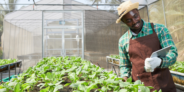 Sustainable Farming